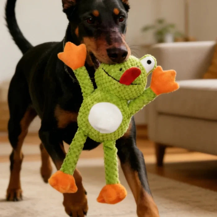 Knotted Frog Plush Dog Toy with Squeaker | Durable Rope Chew Toy for Dogs
