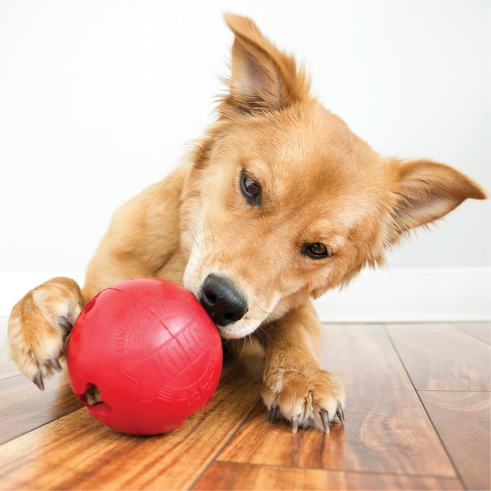 KONG Biscuit Ball | Dog Treat Dispensing Puzzle Toy
