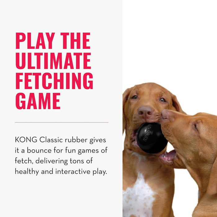 KONG Extreme Dog Ball | Ultra-Durable Fetch Toy