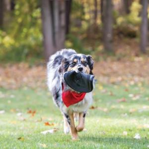KONG Extreme Flyer Frisbee | Tough Dog Toy for Powerful Play