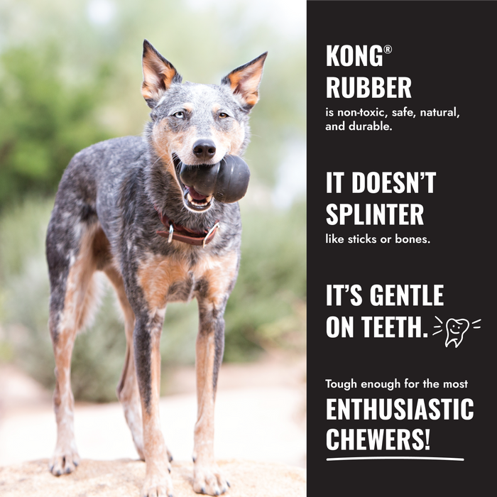 KONG Extreme Flyer Frisbee | Tough Dog Toy for Powerful Play