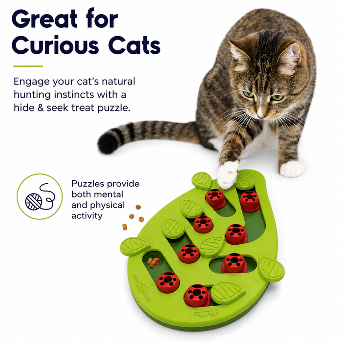 Ladybug Cat Puzzle Feeder | Interactive Slow Feeding & Treat Toy