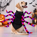 Large Dog Halloween Spider Costume with LED Purple Lights