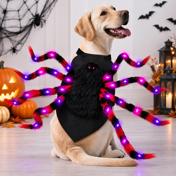 Large Dog Halloween Spider Costume with LED Purple Lights