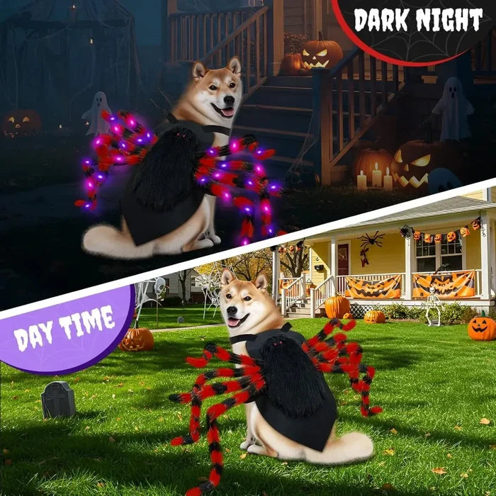 Large Dog Halloween Spider Costume with LED Purple Lights