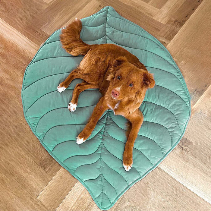 Leaf Shape Dog Blanket Mat