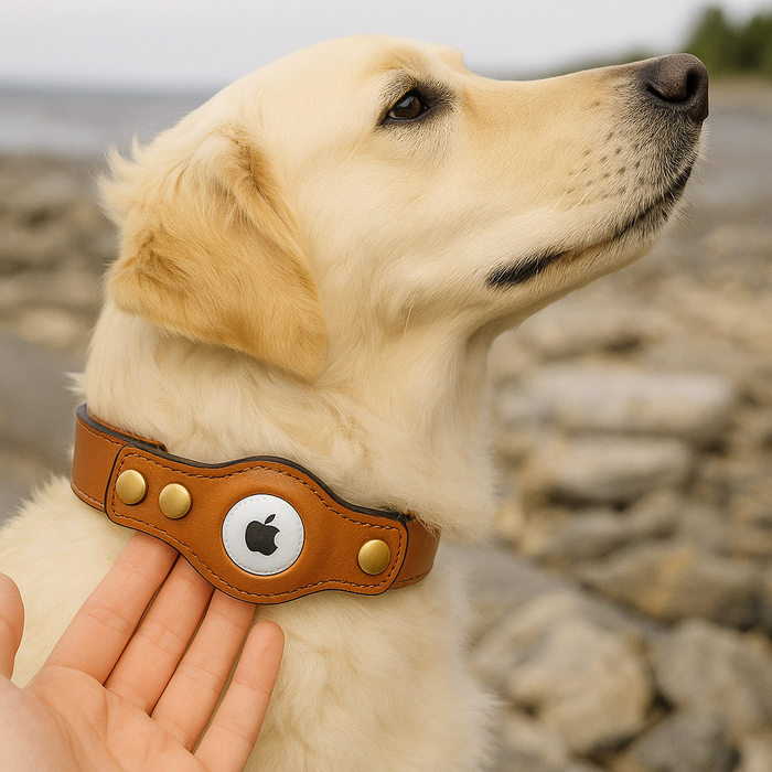 Leather AirTag Dog Collar | Secure, Comfortable & Stylish Tracker Holder
