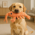 Lobster Interactive Jumping Pet Toy | USB Rechargeable Moving Plush Toy for Dogs & Cats