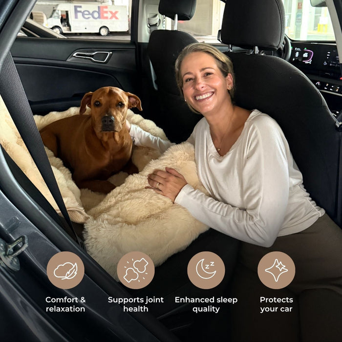 Luxury Cozy Car Bed | Dog Travel Bed – Comfort, Style & Security
