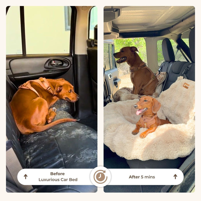 Luxury Cozy Car Bed | Dog Travel Bed – Comfort, Style & Security