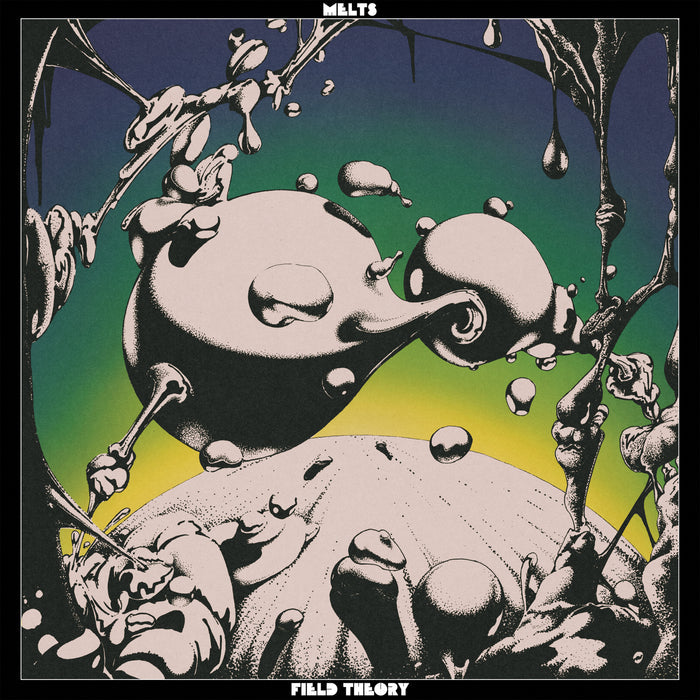 MELTS - Field Theory - Fuzz Club