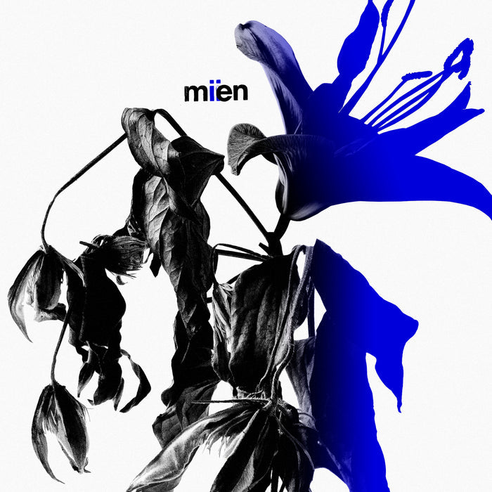 MIEN - MIIEN - Fuzz Club