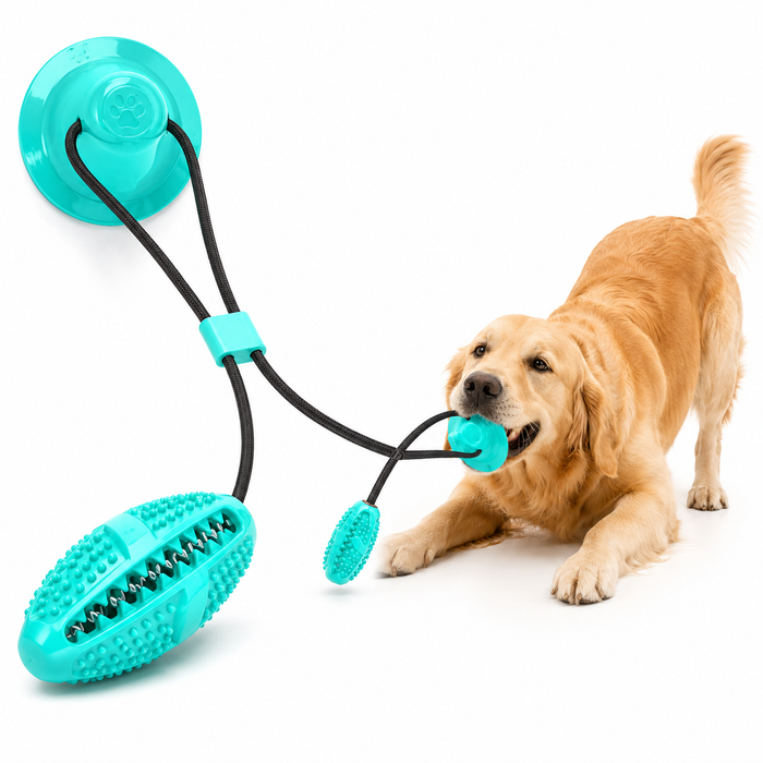 Molar Dog Pull Toy – Durable Tug & Chew Toy for Teeth Cleaning & Interactive Play