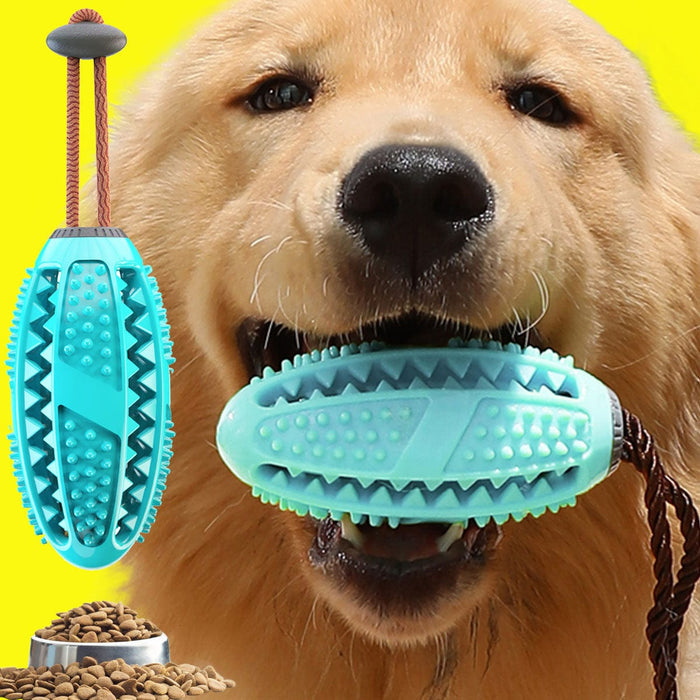 Molar Dog Pull Toy – Durable Tug & Chew Toy for Teeth Cleaning & Interactive Play