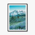Mount Rainier National Park Fine Art Photo Print, Washington State, Mazama Ridge, Wildflowers