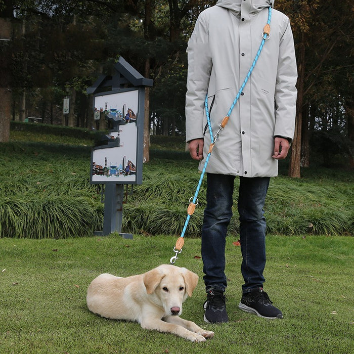 Multifunctional Hook and Chain Leather Pet Leash