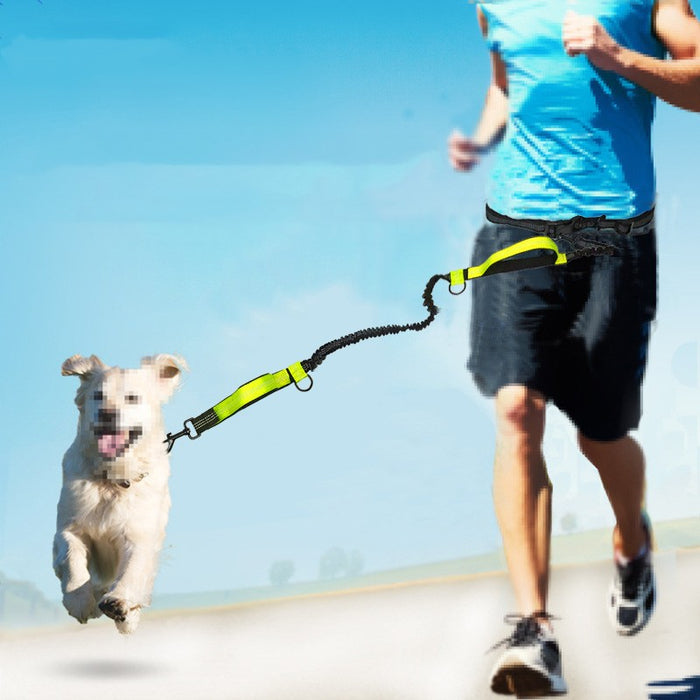 Multifunctional Reflective Double Telescopic Pet Leash and Lead Rope