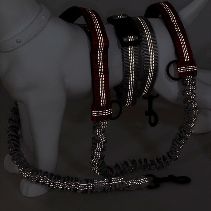 Multifunctional Reflective Double Telescopic Pet Leash and Lead Rope