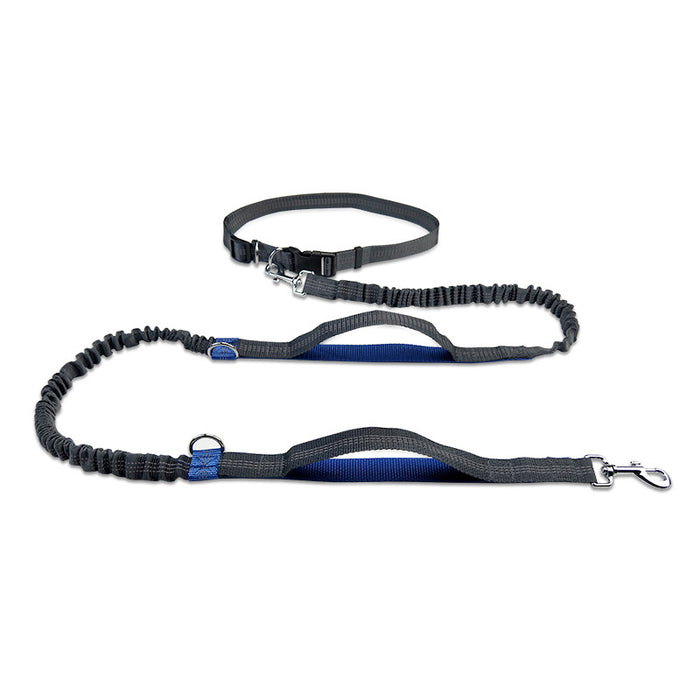 Multifunctional Reflective Double Telescopic Pet Leash and Lead Rope