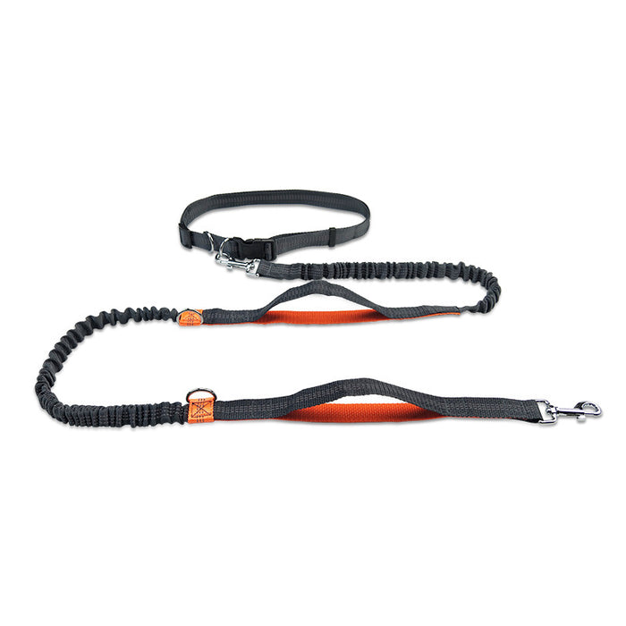 Multifunctional Reflective Double Telescopic Pet Leash and Lead Rope