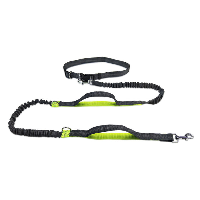 Multifunctional Reflective Double Telescopic Pet Leash and Lead Rope