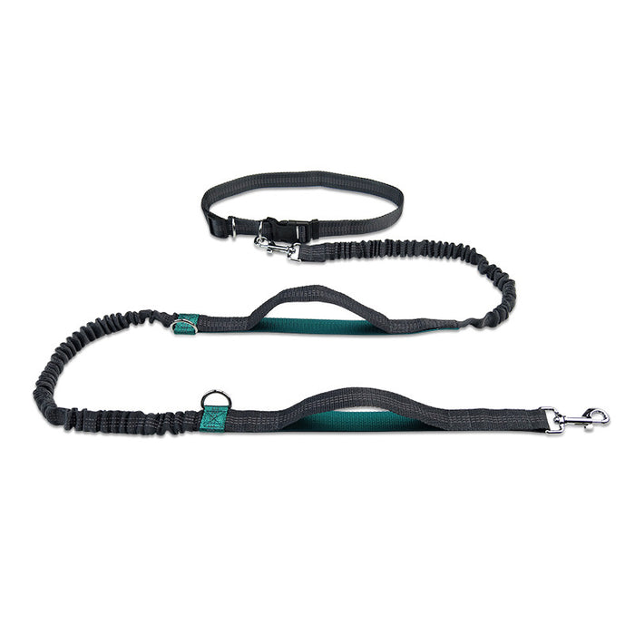 Multifunctional Reflective Double Telescopic Pet Leash and Lead Rope