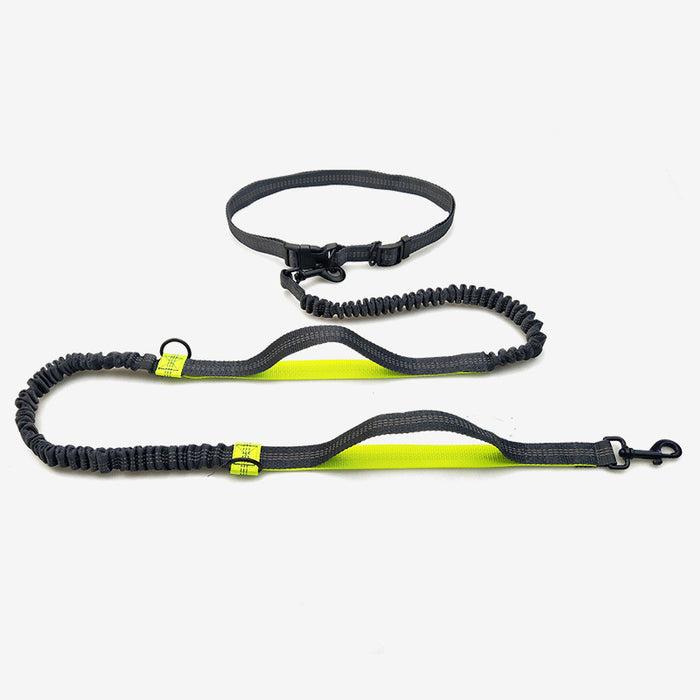 Multifunctional Reflective Double Telescopic Pet Leash and Lead Rope