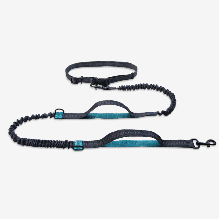 Multifunctional Reflective Double Telescopic Pet Leash and Lead Rope