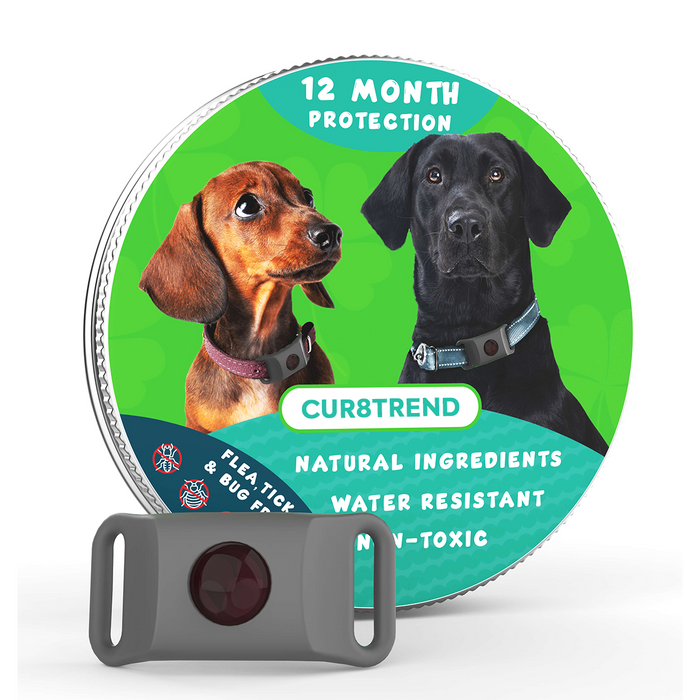 Natural Flea & Tick Dog Tag | Waterproof Pet Protection Collar