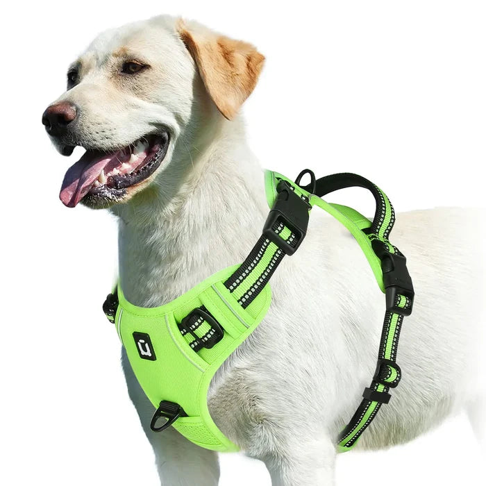 Light Green / S