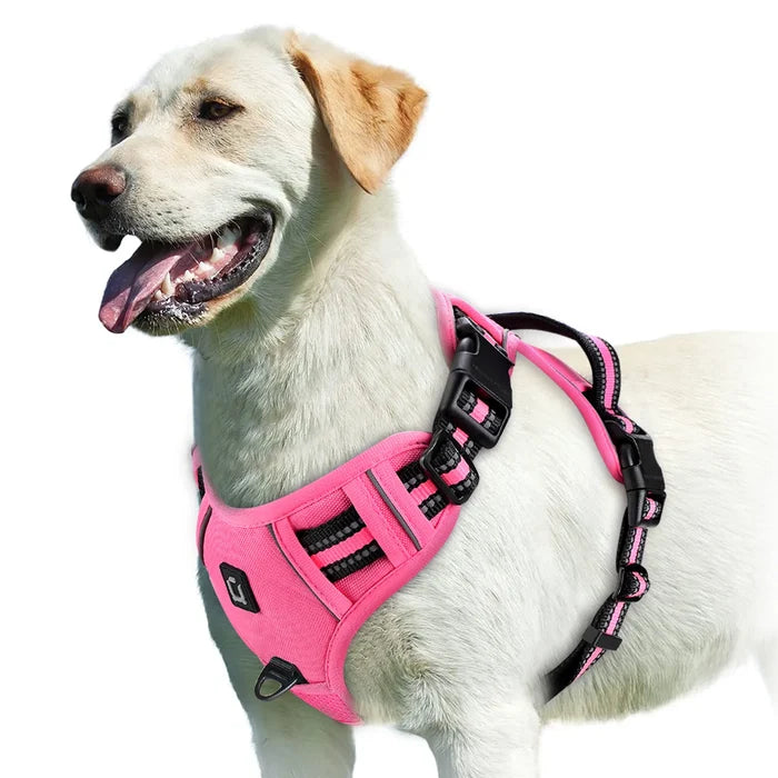 Pink / S