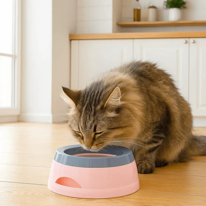 No Spill Cat Water Bowl – Anti Splash Pet Water Bowl with Floating Plate