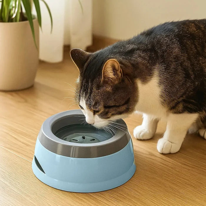 No Spill Cat Water Bowl – Anti Splash Pet Water Bowl with Floating Plate