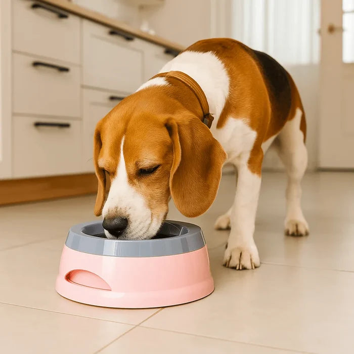 No Spill Dog Water Bowl – Anti Splash Dog Bowl with Floating Plate