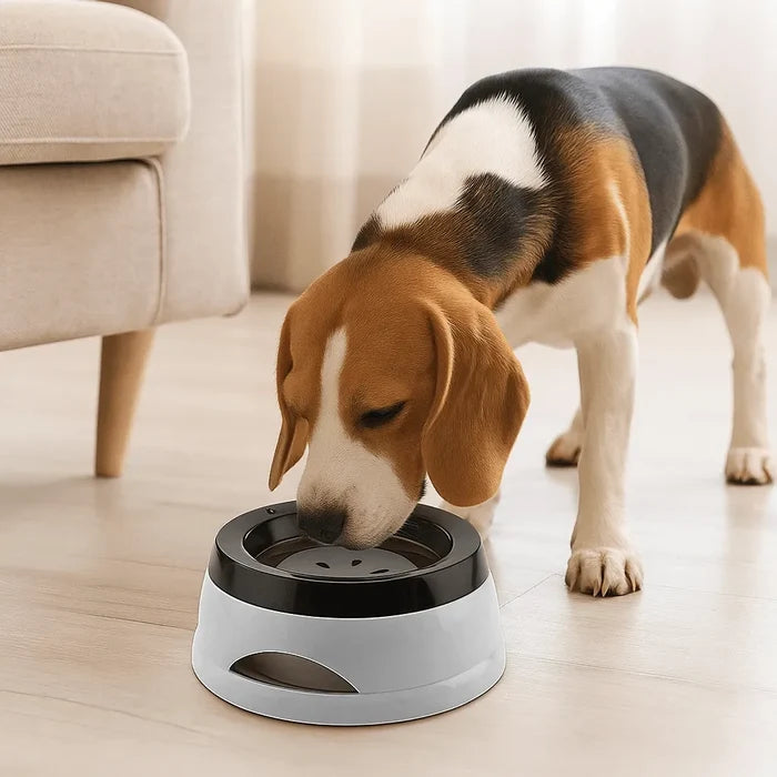 No Spill Dog Water Bowl – Anti Splash Dog Bowl with Floating Plate