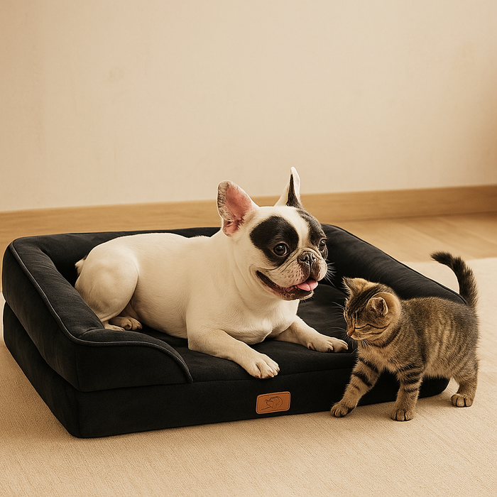 Orthopedic Dog Bed | Firm Foam Support Bed for Senior Dogs with Washable Cover