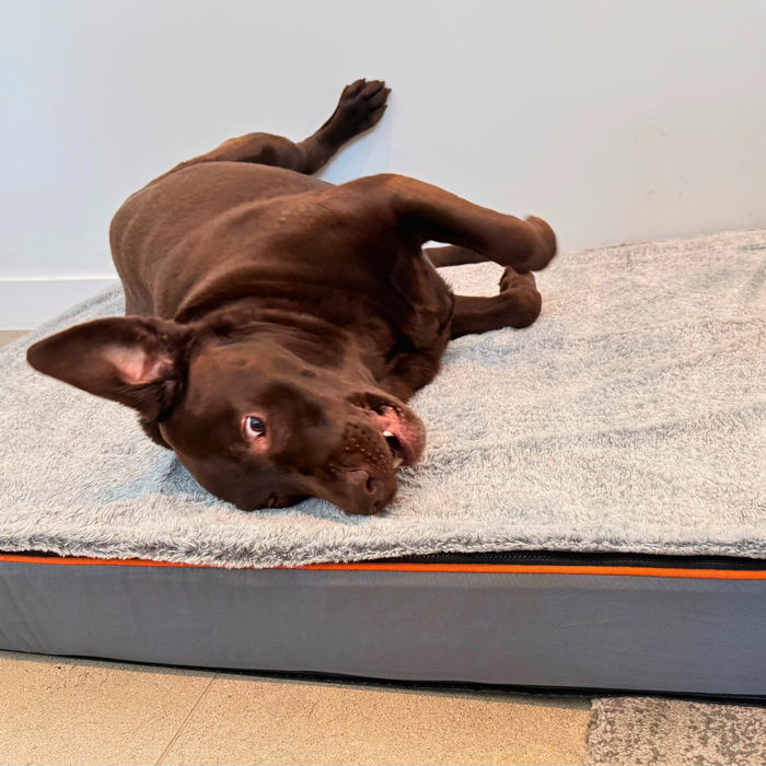 Orthopedic Dog Bed | Memory Foam Joint Support – Large & Comfortable Pet Mattress