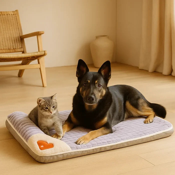 Orthopedic Dog Mattress | Washable Waterproof Bed for Large Dogs with Anti-Slip Base