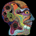 Osees - Cara Maluco