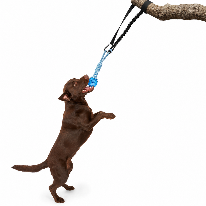 Outdoor Bungee Tug Dog Toy with Chew Rope for Interactive Play
