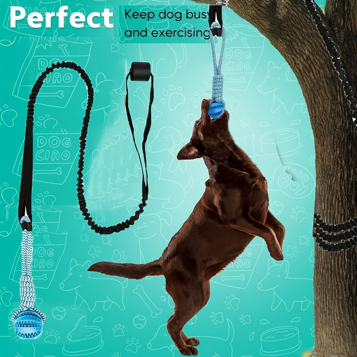 Outdoor Bungee Tug Dog Toy with Chew Rope for Interactive Play