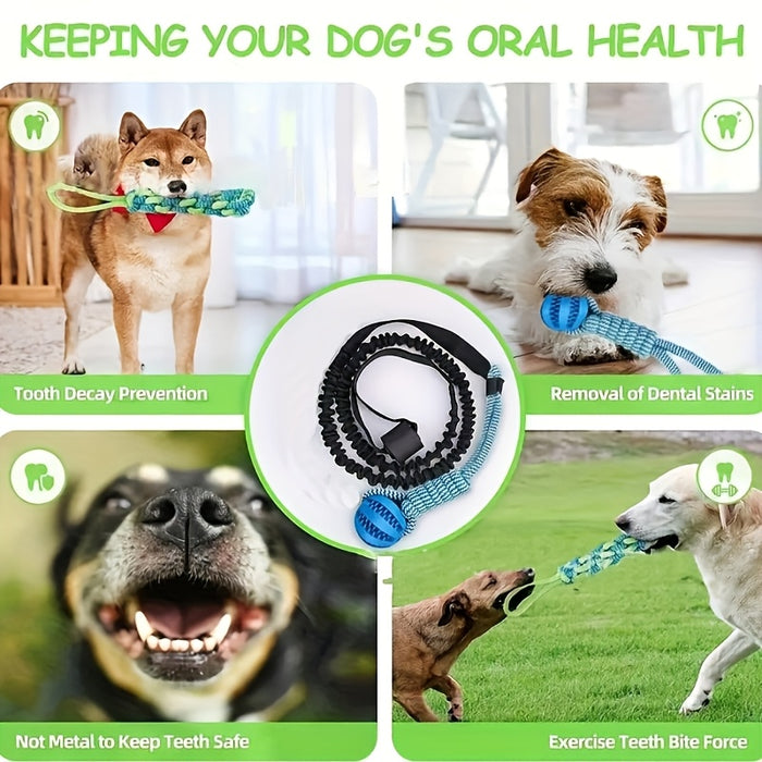 Outdoor Bungee Tug Dog Toy with Chew Rope for Interactive Play