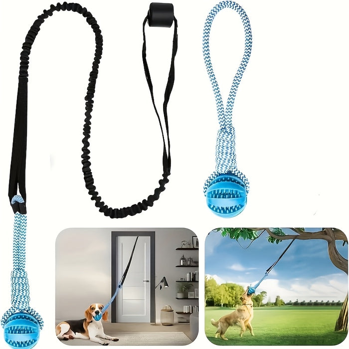 Outdoor Bungee Tug Dog Toy with Chew Rope for Interactive Play