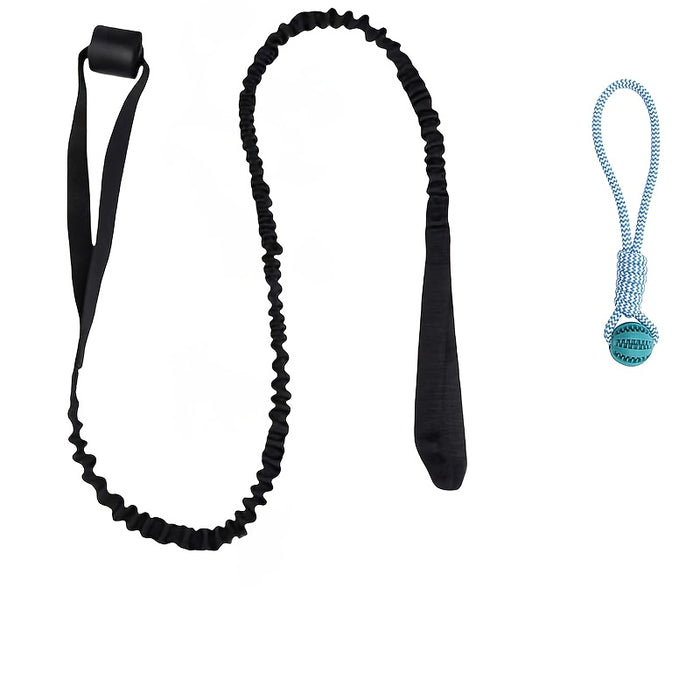 Outdoor Bungee Tug Dog Toy with Chew Rope for Interactive Play