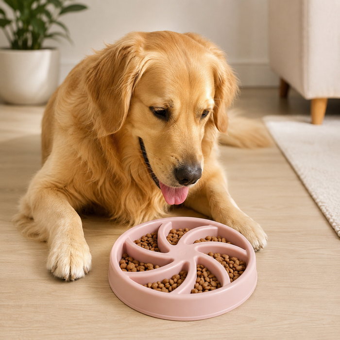 PaceBowl Slow Feeder Pet Bowl for Dogs & Cats – BPA-Free Interactive Feeding Bowl