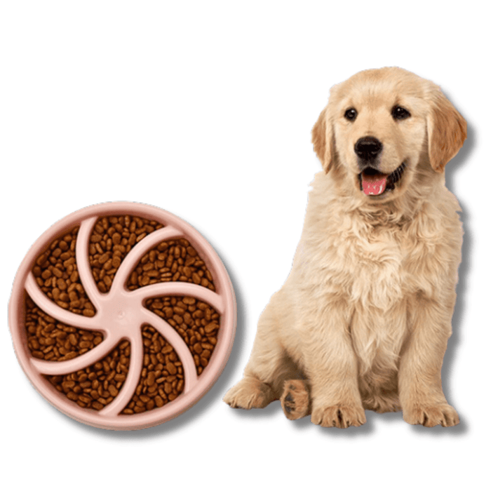 PaceBowl Slow Feeder Pet Bowl for Dogs & Cats – BPA-Free Interactive Feeding Bowl