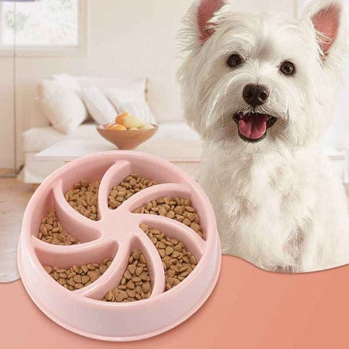 PaceBowl Slow Feeder Pet Bowl for Dogs & Cats – BPA-Free Interactive Feeding Bowl