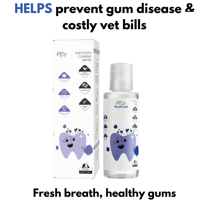 Paw Fresh Water Additive | Dental Care Solution – Gum & Teeth Protection