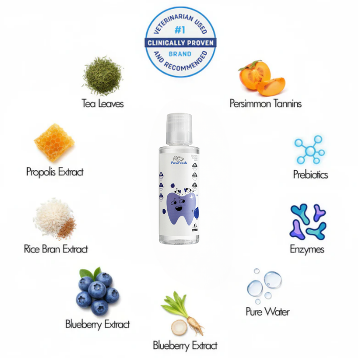 Paw Fresh Water Additive | Dental Care Solution – Gum & Teeth Protection