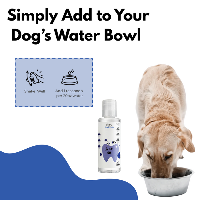 Paw Fresh Water Additive | Dental Care Solution – Gum & Teeth Protection